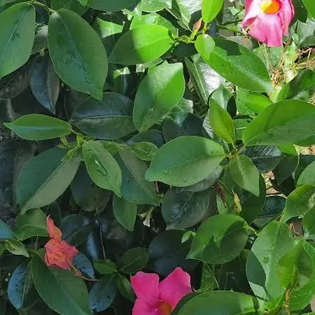 A Quinta Do Refúgio Braga