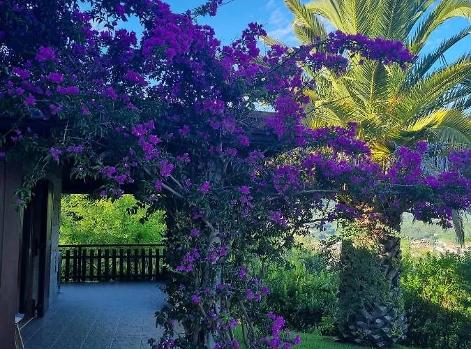 Feriegård A Quinta Do Refugio Braga