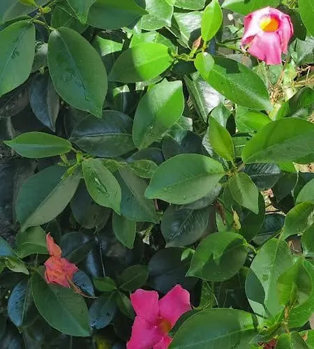 A Quinta Do Refugio Braga